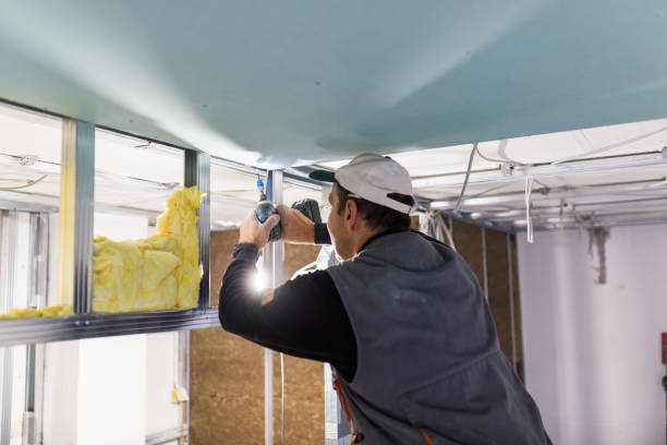 Best Commercial Insulation Contractor  in New Haven, MO
