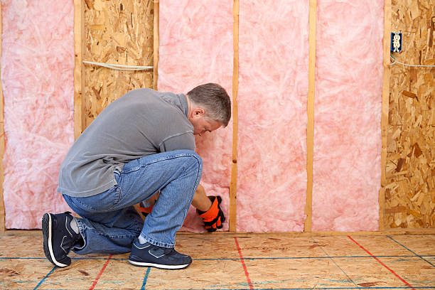 Best Insulation Removal  in New Haven, MO