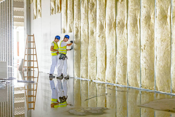 Best Attic Insulation Installation  in New Haven, MO